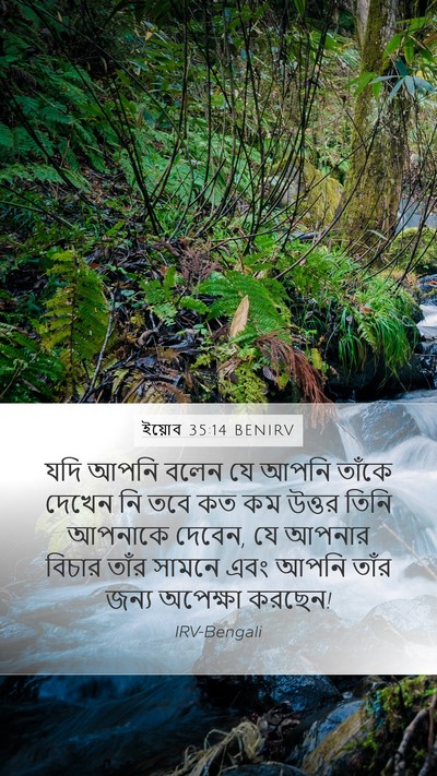 ইয়োব 35:14 BENIRV Bible Verse Image