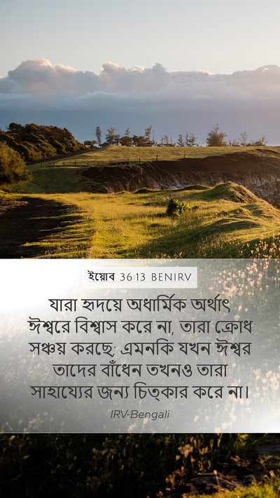 ইয়োব 36:13 BENIRV Bible Verse Image