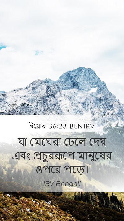 ইয়োব 36:28 BENIRV Mobile Phone Wallpaper - যা মেঘেরা ঢেলে - Mobile Bible Verse Wallpaper