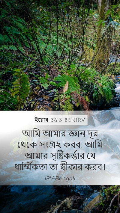 ইয়োব 36:3 BENIRV Bible Verse Image