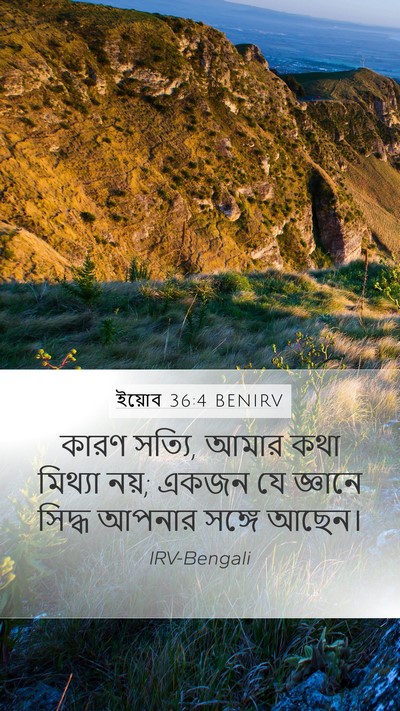 ইয়োব 36:4 BENIRV Bible Verse Image