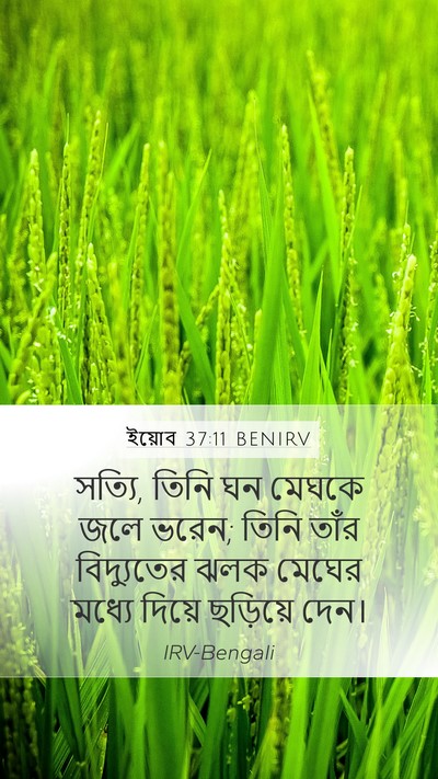 ইয়োব 37:11 BENIRV Bible Verse Image