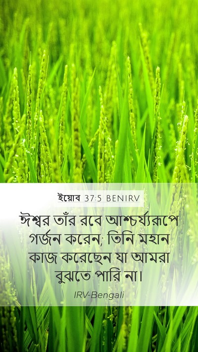 ইয়োব 37:5 BENIRV Bible Verse Image