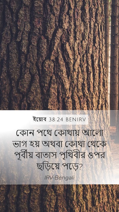 ইয়োব 38:24 BENIRV Mobile Phone Wallpaper - কোন পথে কোথায় আলো - Mobile Bible Verse Wallpaper
