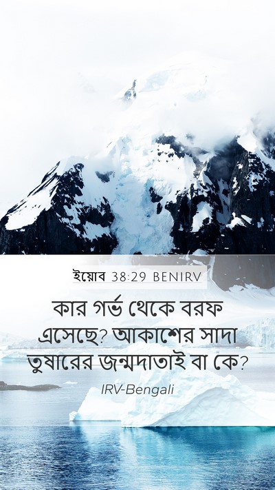 ইয়োব 38:29 BENIRV Bible Verse Image