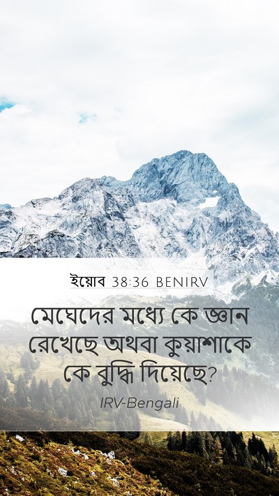 ইয়োব 38:36 BENIRV Bible Verse Image