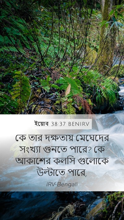 ইয়োব 38:37 BENIRV Bible Verse Image