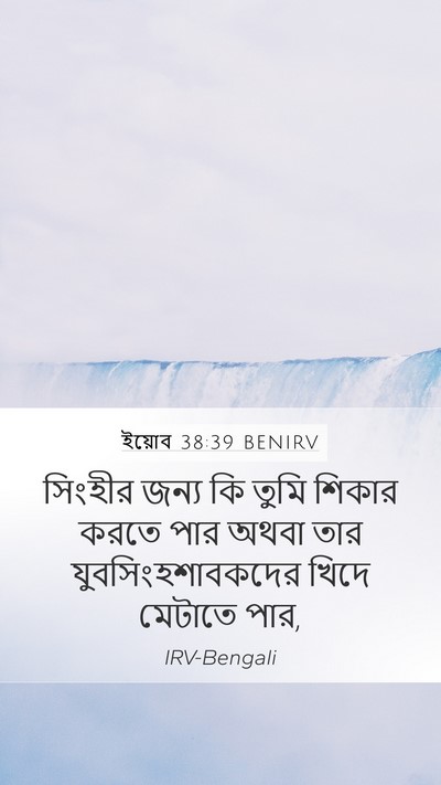 ইয়োব 38:39 BENIRV Bible Verse Image