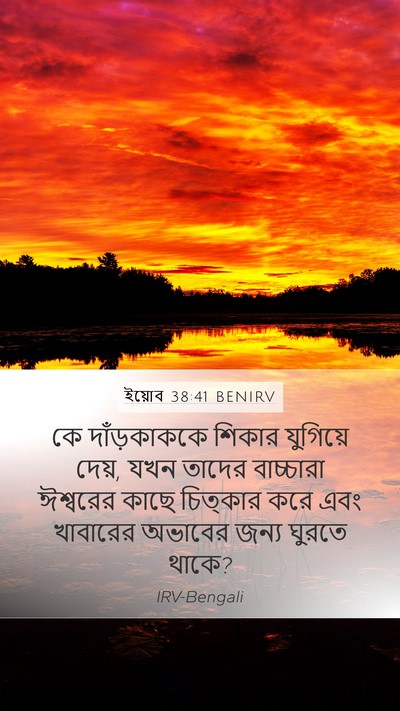 ইয়োব 38:41 BENIRV Bible Verse Image