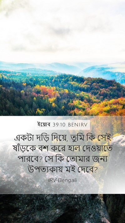 ইয়োব 39:10 BENIRV Mobile Phone Wallpaper - একটা দড়ি দিয়ে, - Mobile Bible Verse Wallpaper