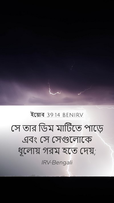 ইয়োব 39:14 BENIRV Bible Verse Image