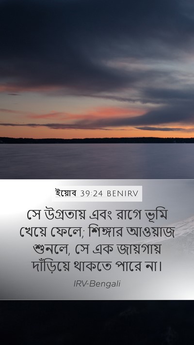 ইয়োব 39:24 BENIRV Bible Verse Image