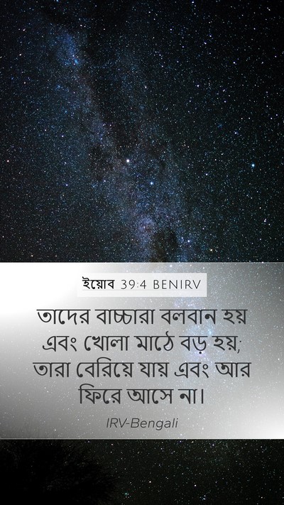ইয়োব 39:4 BENIRV Bible Verse Image
