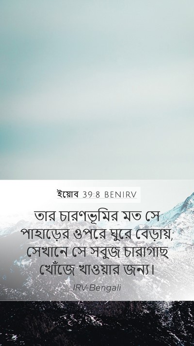 ইয়োব 39:8 BENIRV Bible Verse Image