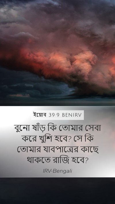 ইয়োব 39:9 BENIRV Bible Verse Image