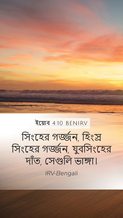 ইয়োব 4:10 BENIRV Bible Verse Image