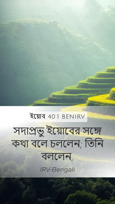 ইয়োব 40:1 BENIRV Bible Verse Image