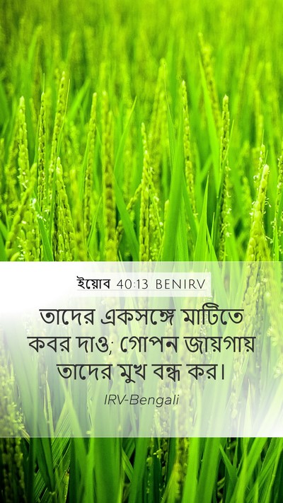 ইয়োব 40:13 BENIRV Mobile Phone Wallpaper - তাদের একসঙ্গে - Mobile Bible Verse Wallpaper