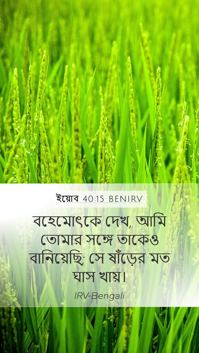 ইয়োব 40:15 BENIRV Bible Verse Image