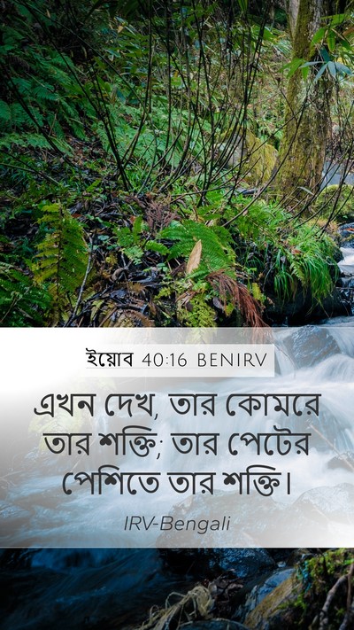 ইয়োব 40:16 BENIRV Mobile Phone Wallpaper - এখন দেখ, তার কোমরে - Mobile Bible Verse Wallpaper