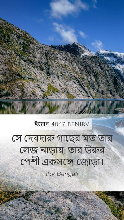 ইয়োব 40:17 BENIRV Bible Verse Image