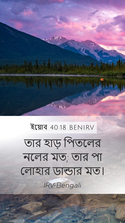 ইয়োব 40:18 BENIRV Bible Verse Image