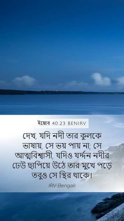 ইয়োব 40:23 BENIRV Mobile Phone Wallpaper - দেখ, যদি নদী তার - Mobile Bible Verse Wallpaper