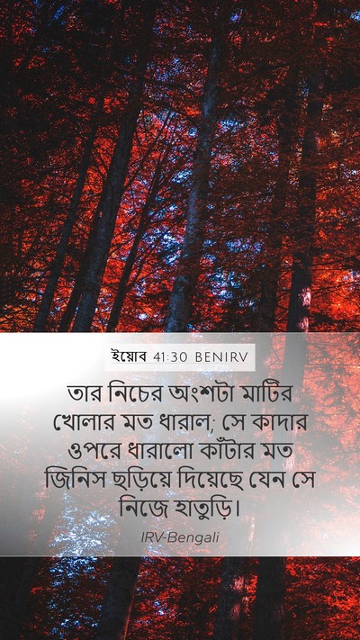 ইয়োব 41:30 BENIRV Mobile Phone Wallpaper - তার নিচের অংশটা - Mobile Bible Verse Wallpaper
