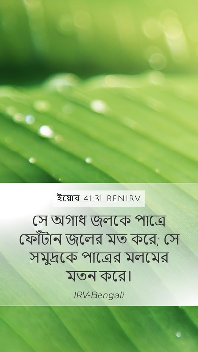 ইয়োব 41:31 BENIRV Mobile Phone Wallpaper - সে অগাধ জলকে - Mobile Bible Verse Wallpaper