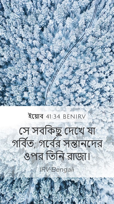ইয়োব 41:34 BENIRV Bible Verse Image