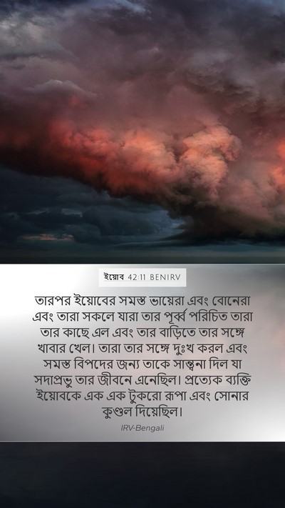 ইয়োব 42:11 BENIRV Bible Verse Image