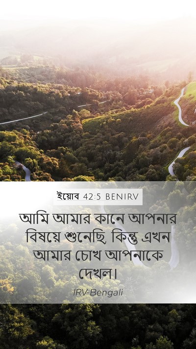 ইয়োব 42:5 BENIRV Bible Verse Image