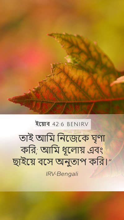 ইয়োব 42:6 BENIRV Bible Verse Image