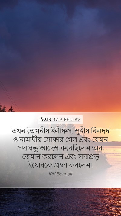 ইয়োব 42:9 BENIRV Bible Verse Image