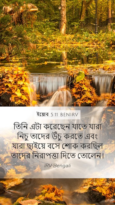 ইয়োব 5:11 BENIRV Bible Verse Image