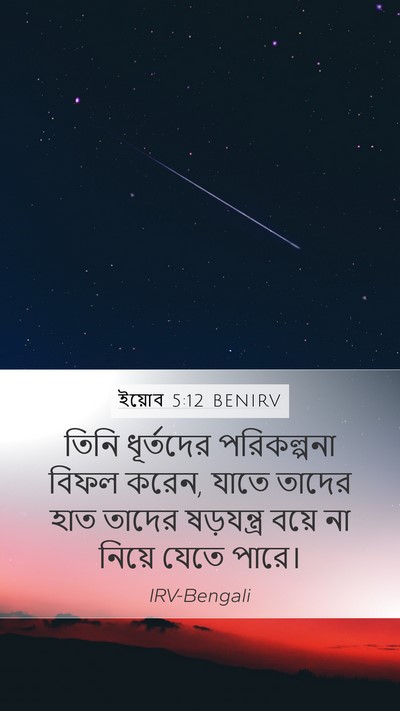 ইয়োব 5:12 BENIRV Bible Verse Image