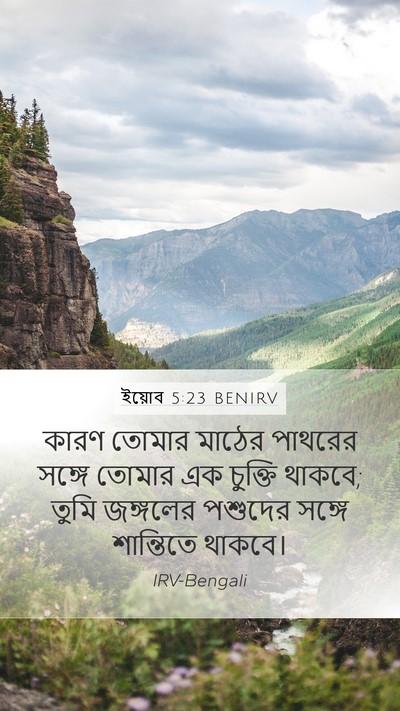 ইয়োব 5:23 BENIRV Bible Verse Image