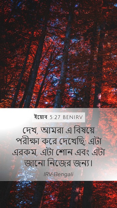 ইয়োব 5:27 BENIRV Bible Verse Image