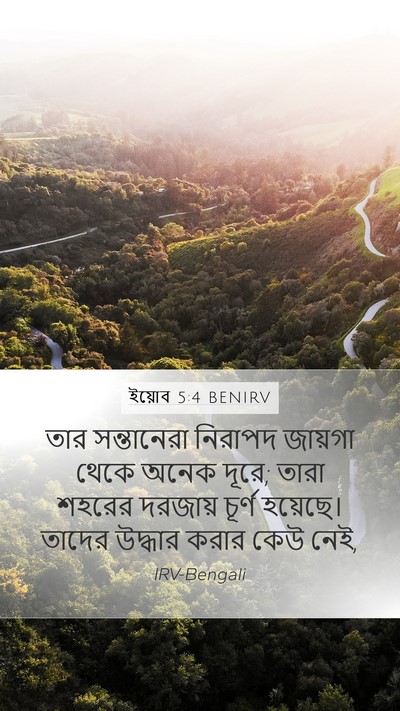 ইয়োব 5:4 BENIRV Bible Verse Image