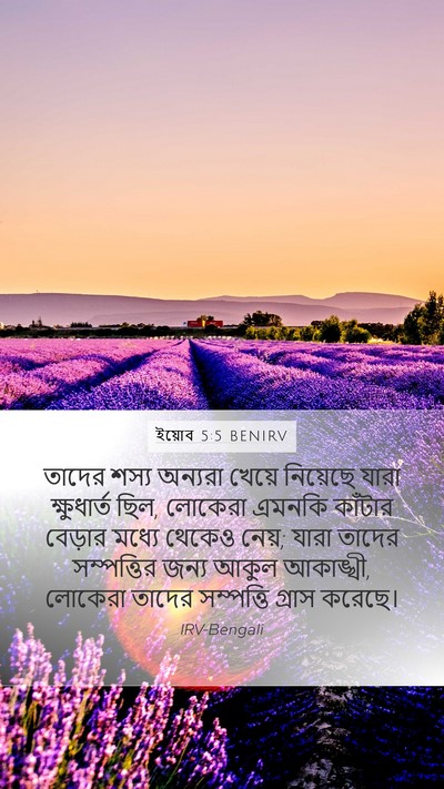 ইয়োব 5:5 BENIRV Bible Verse Image