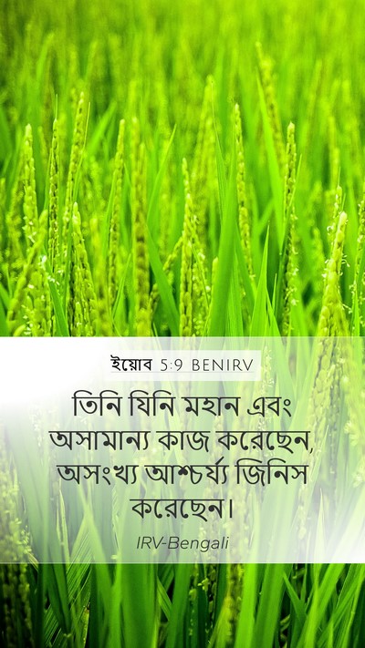 ইয়োব 5:9 BENIRV Bible Verse Image