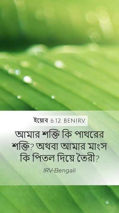 ইয়োব 6:12 BENIRV Bible Verse Image