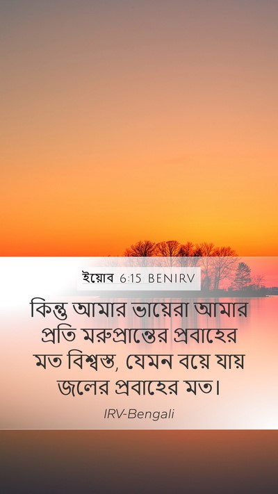ইয়োব 6:15 BENIRV Bible Verse Image