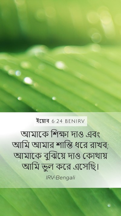 ইয়োব 6:24 BENIRV Bible Verse Image