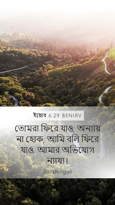 ইয়োব 6:29 BENIRV Bible Verse Image