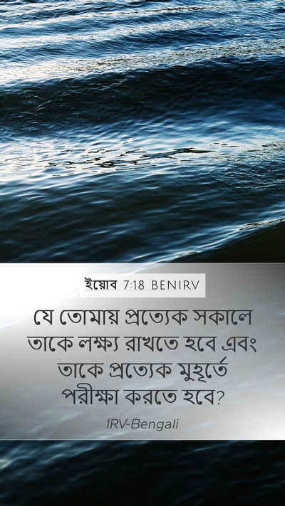 ইয়োব 7:18 BENIRV Bible Verse Image
