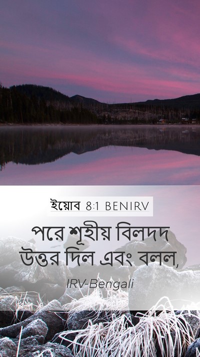 ইয়োব 8:1 BENIRV Bible Verse Image