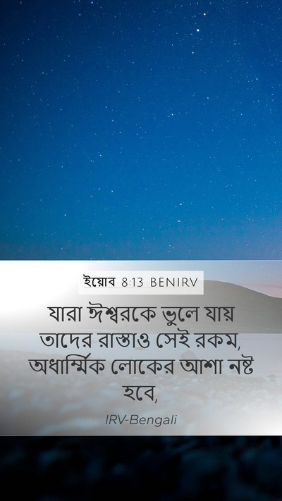 ইয়োব 8:13 BENIRV Bible Verse Image