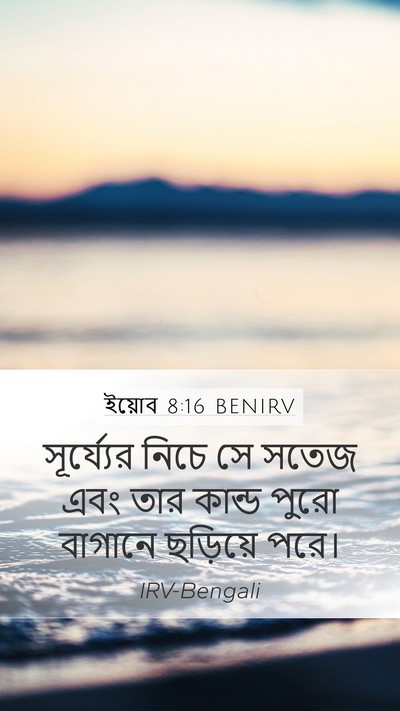 ইয়োব 8:16 BENIRV Bible Verse Image
