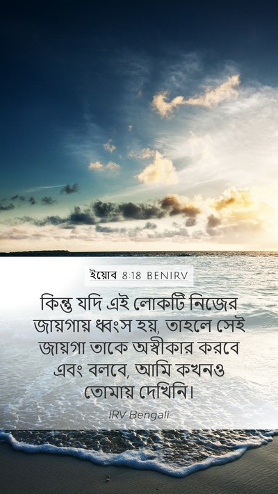 ইয়োব 8:18 BENIRV Bible Verse Image